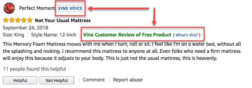 amazon vine review example