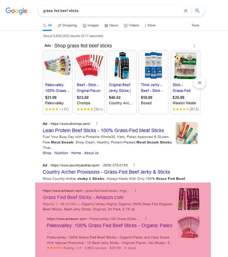 google organic search results example
