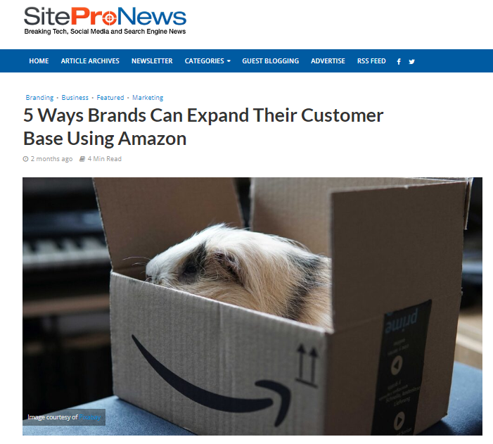 Here are five ways that brands can strategically expand their client base using Amazon: